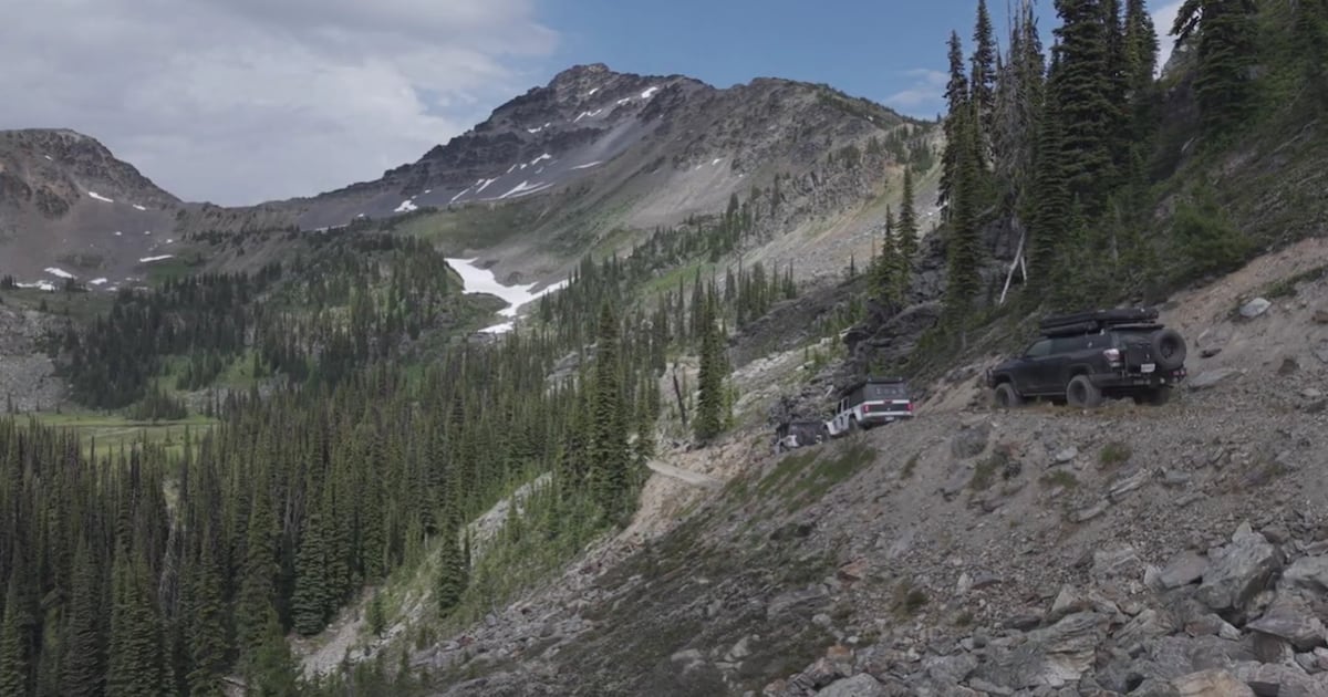 Recreational users call for province to stop deactivation of Rady Creek Forest Service Road - CTV News
