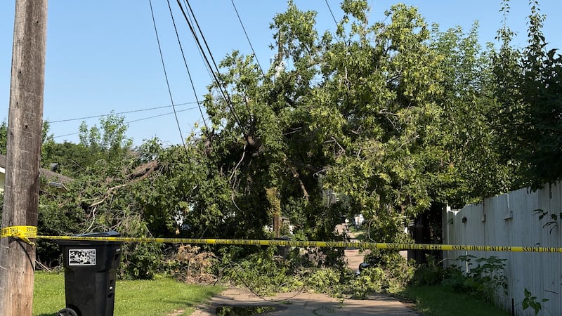 City cleans up after severe thunderstorm