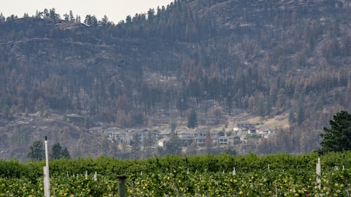 Majority of Summerland, B.C., allowed home as evacuation order partially downgraded