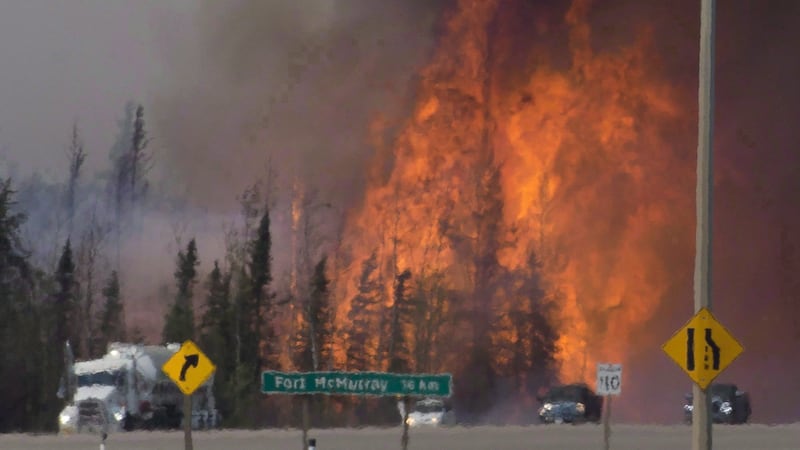 Europe’s wildfire crisis holds lessons for Canada’s forests