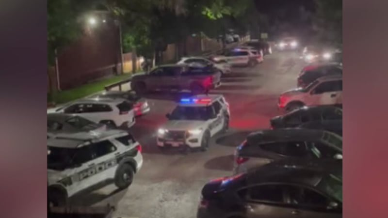 Man, 26, dies after being shot by Winnipeg police during domestic call