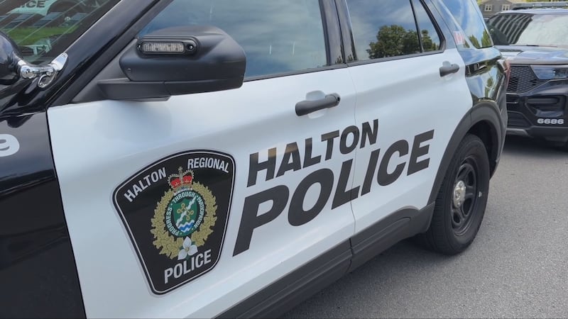 Organized crime groups targeting homes near green spaces for break-and-enters: Halton police
