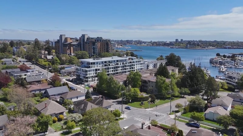 B.C. municipality not liable after tree damages homeowner’s property