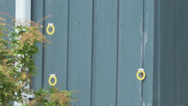 ‘I’ve been shot’: Boyfriend of Surrey shooting victim recalls moments after home hit by spray of bullets