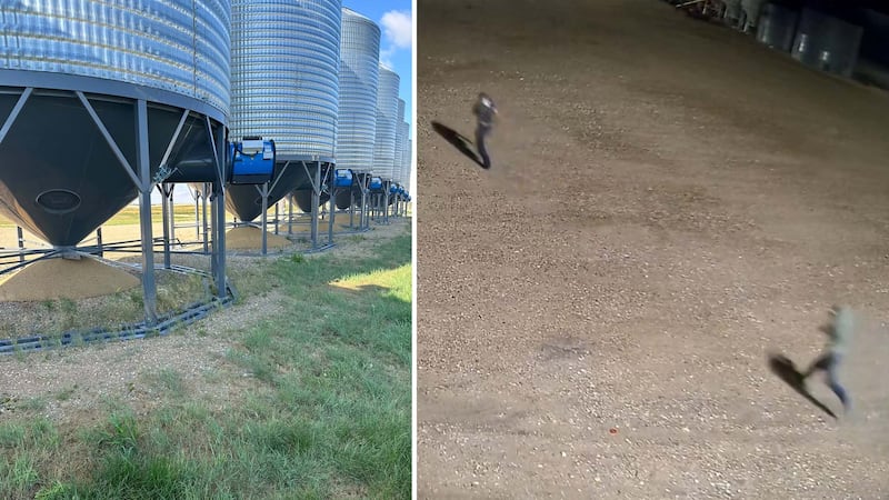 RCMP looking for pair of men who tampered with bins, dumped grain
