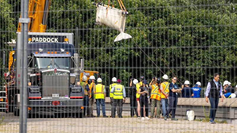 Six whales being moved out of Marineland, headed to U.S.
