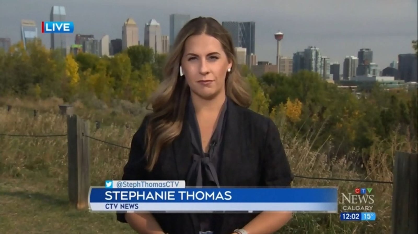 Stephanie R. Thomas A little bit pregnant: my journey from recurrent pregnancy loss to IVF