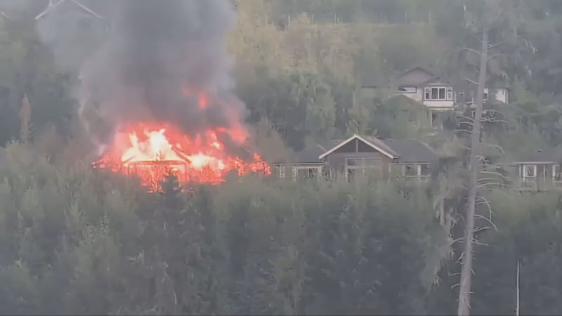 Homes in abandoned neighbourhood burning on B.C.’s Sunshine Coast