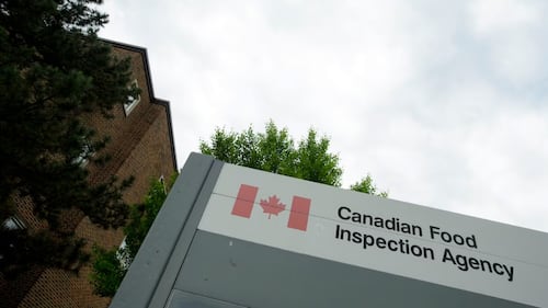 Egg products recalled in Ontario and Quebec due to Salmonella