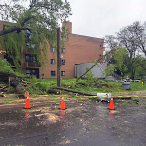 Cleanup underway after severe rainstorm rocked the city, trees knocked down