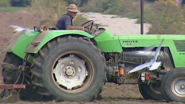 Farming 101 