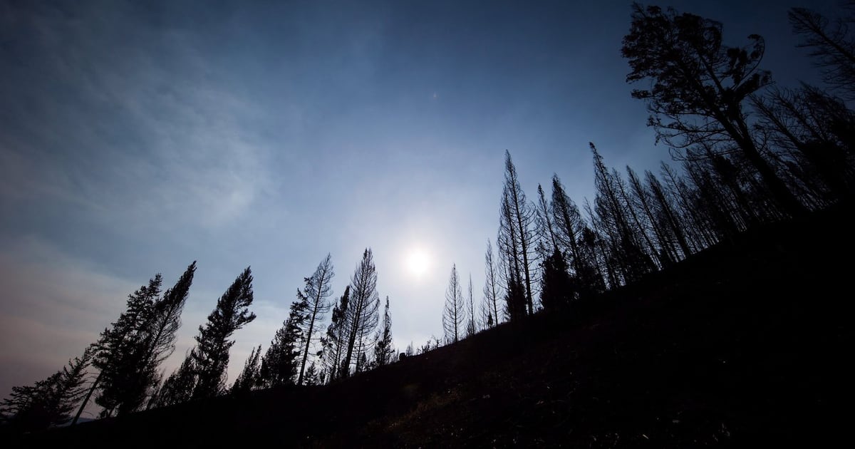 BC snowpack and wildfire risk