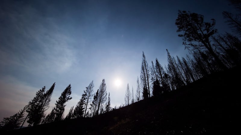 B.C.’s snowpacks measuring far below ‘normal’ ahead of wildfire season