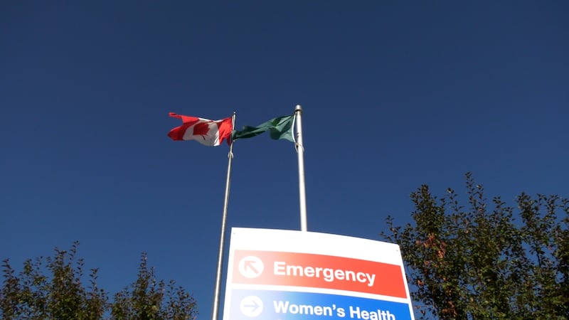 Should Alberta cut off access to health care, education and social services for temporary residents?