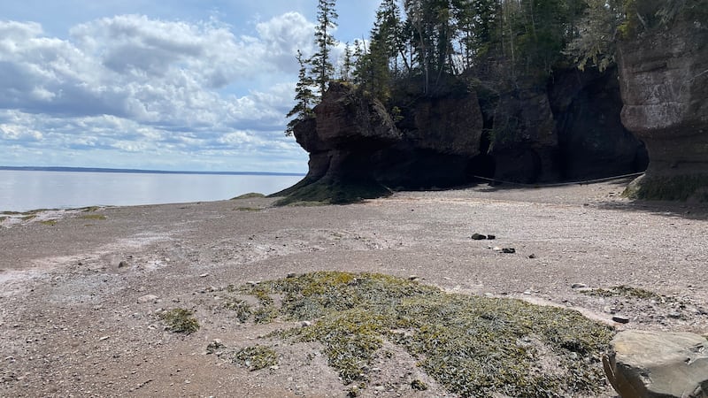 ‘The rocks change all the time’: Research team studying erosion at Hopewell Rocks