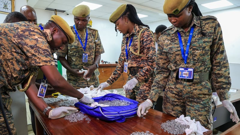 Kenya sentences Chinese ant smuggler to year in jail