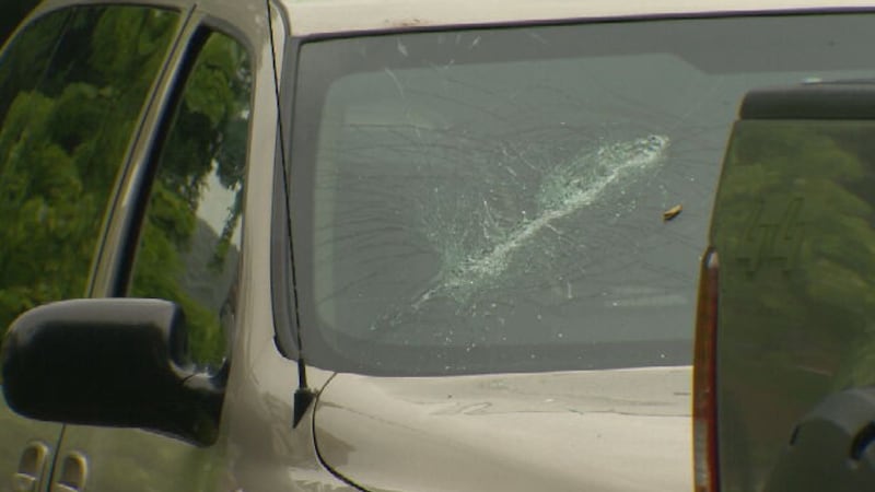 Arrest made after nearly 2 dozen parked vehicles vandalized in Winnipeg