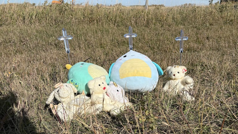 Fundraiser launched for Foam Lake man who lost family in crash