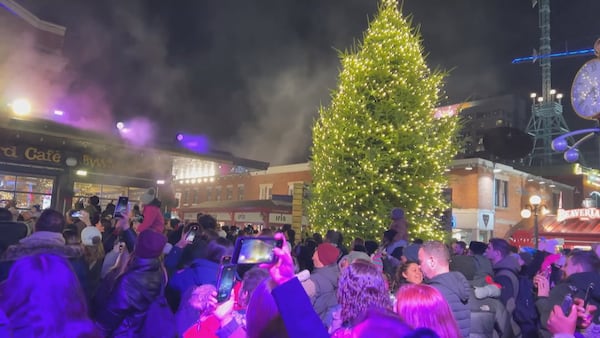 Understudy tree steps into spotlight at ByWard Market lighting ceremony