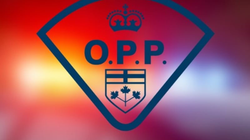 Unity Rv 45 Light Fatal single-vehicle crash in Southwold Township