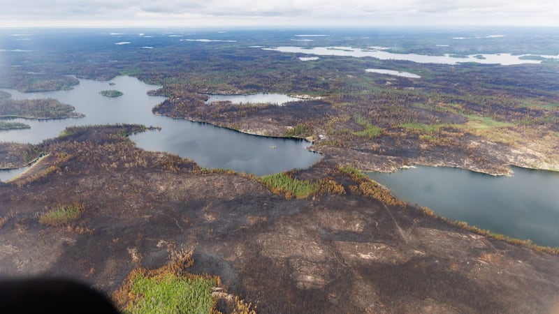 Wildfire forecast anticipates high risk for new wildfires in B.C., Prairies, N.W.T.