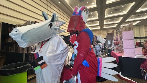 Angel and Ivory Jansen cosplay as Pokémon Saturday at Animaritime. (Avery MacRae/CTV News)