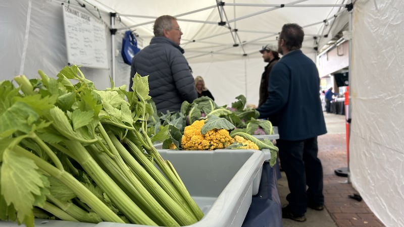 Farmers reflect on crop yield as market outdoor season comes to a close