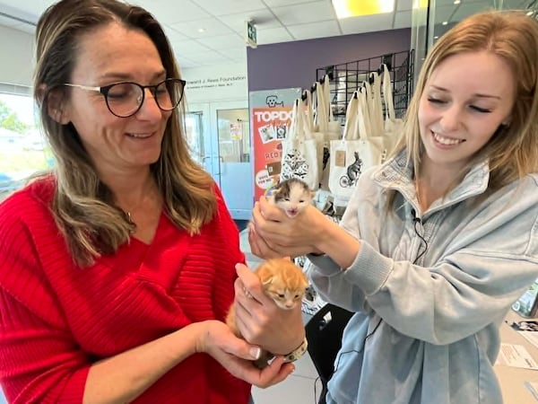 Eight kittens rescued after being left in a tied bag outside Chatham shelter