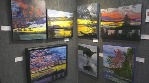 St. Albert art show features 50 artists, hundreds of paintings