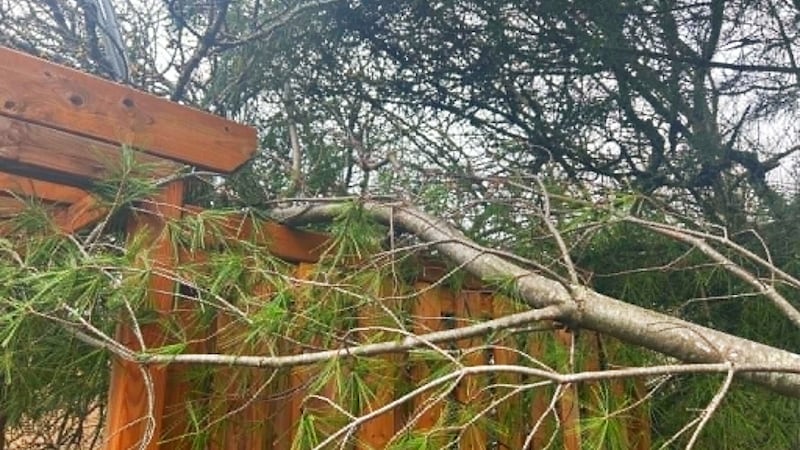 Report: Mattawa storm damage caused by downburst