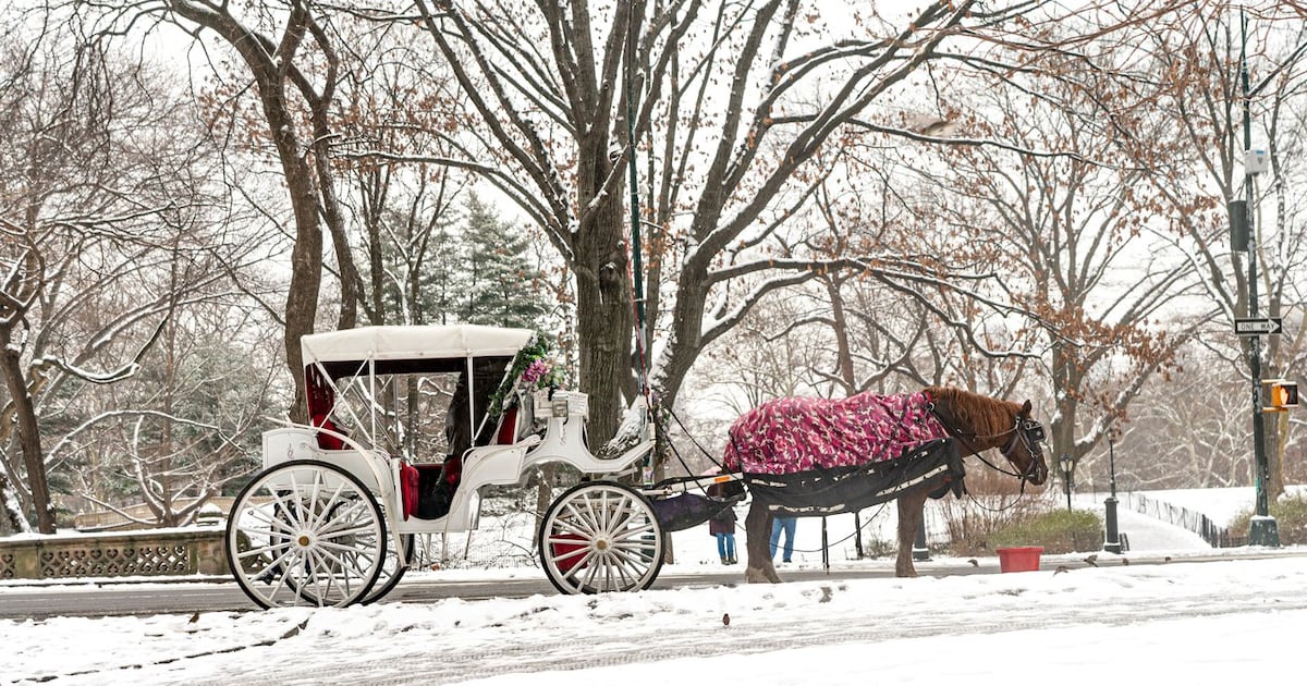 New York to ban Central Park's horse-drawn carriages after teen's death