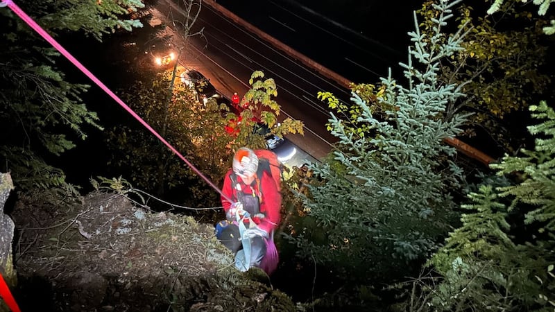 Hiker rescued from steep terrain above B.C. highway
