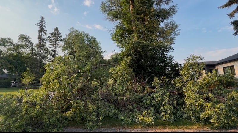 Summer storm hits southern Manitoba