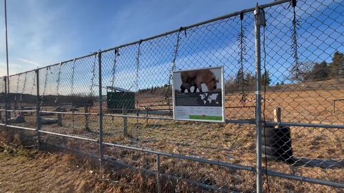 The Edmonton Valley Zoo announced a plan for the next 15 years. Nov. 24, 2025. (Sasha Pietramala/CTV News Edmonton)