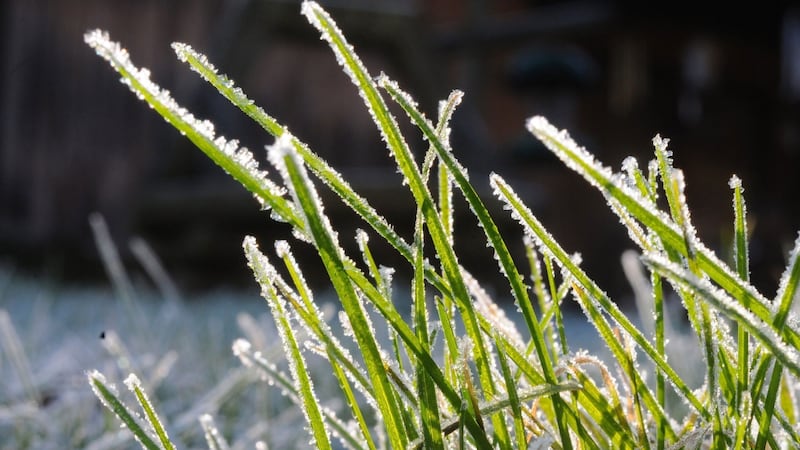 Frost warnings in place for parts of the region
