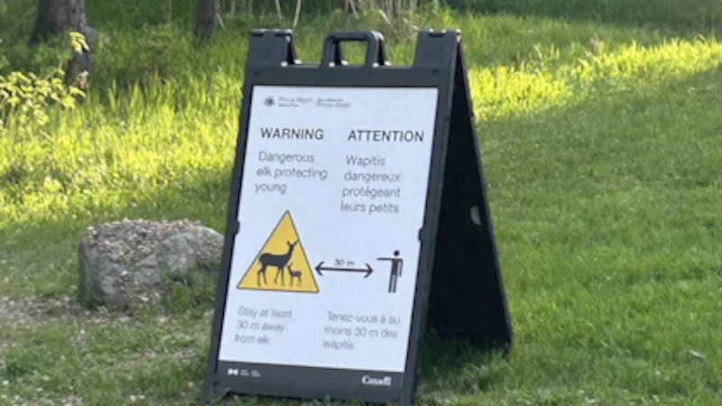 Prince Albert National Park sees increase in wildlife sightings