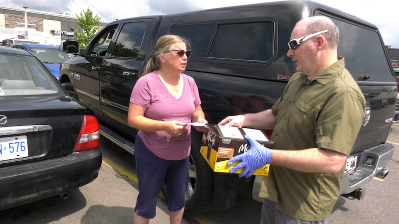 Turtle Taxi volunteers help Ontario’s turtle hospital keep pace with record season