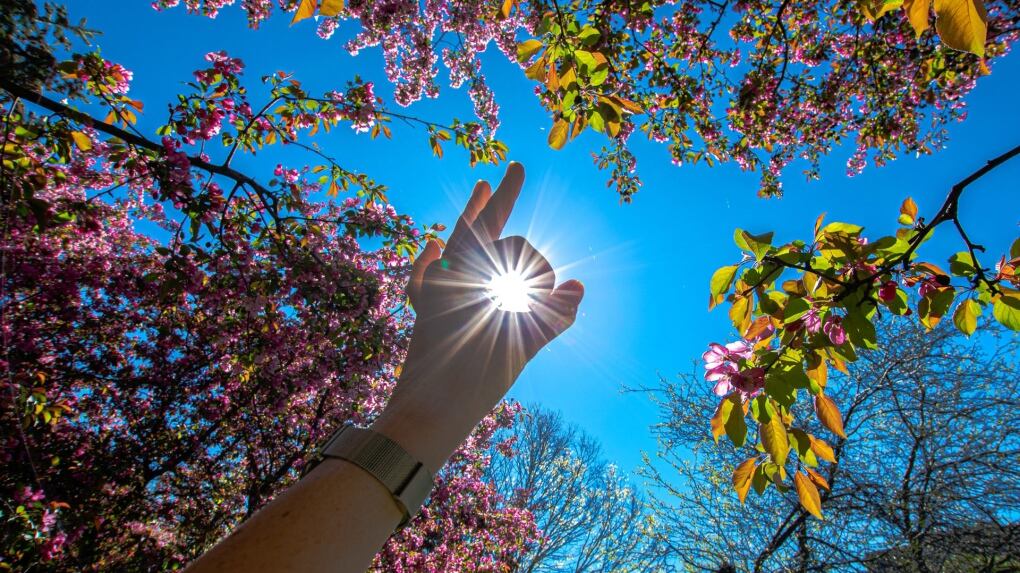 Sunny Week Spring Hot and sunny week ahead for Ottawa