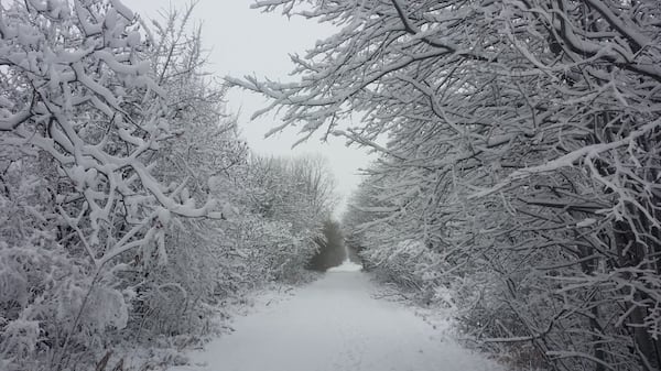 Snowfall warning in effect as weather system moves through region