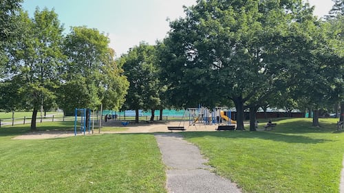 Man stabbed in Craig Henry Park was parent intervening in youth dispute: councillor