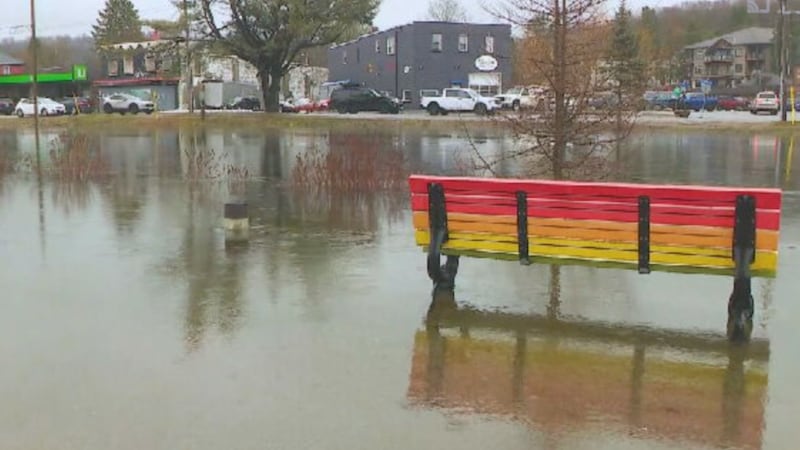 Community clean-up underway in Minden Hills