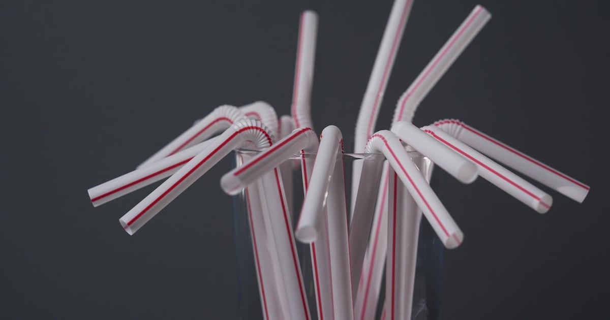 Supreme Court will rule on Ottawa's single-use plastics ban