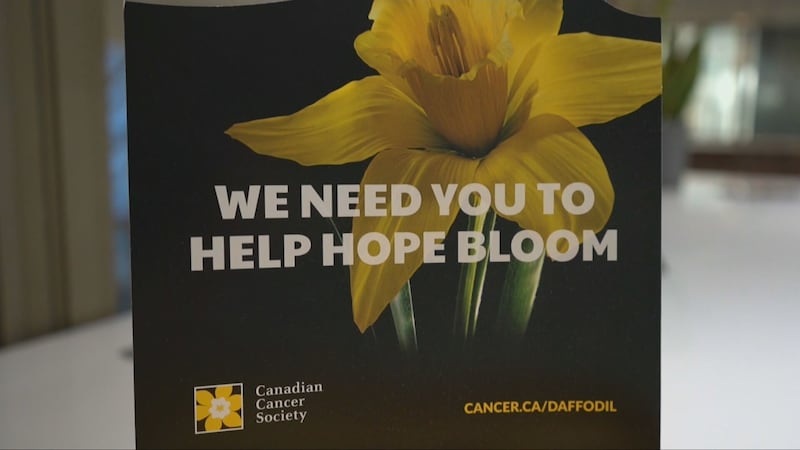 Cancer survivor shares her experience with Daffodil Month campaign
