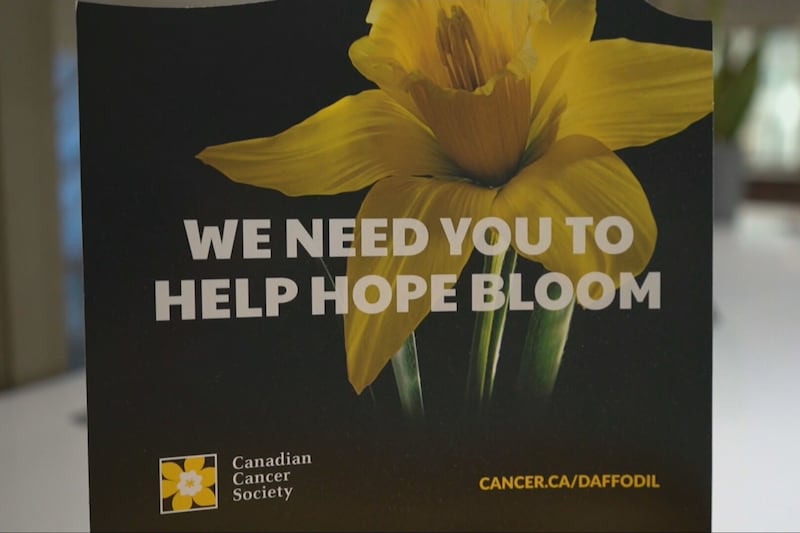 Cancer survivor shares her experience with Daffodil Month campaign