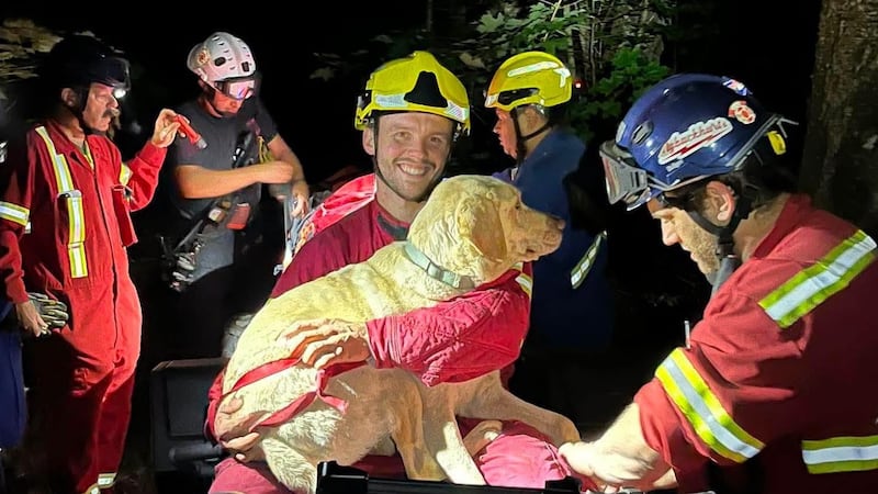 Firefighters use ropes to rescue dog that went over cliff at Nova Scotia park