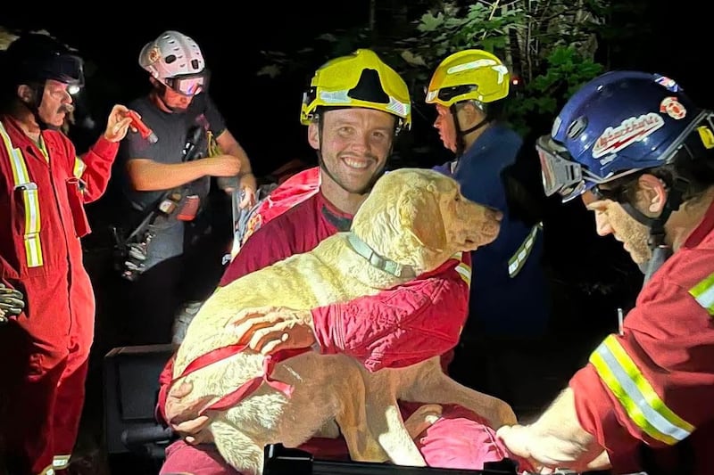 Firefighters use ropes to rescue dog that went over cliff at Nova Scotia park