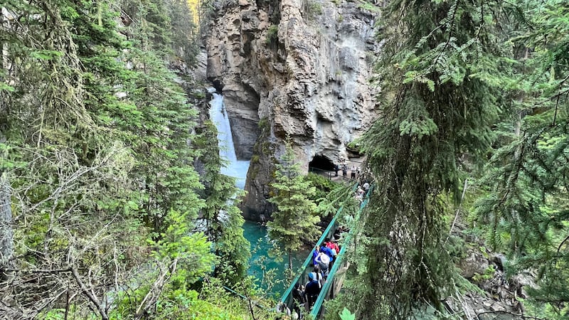 Banff hiking trail closed due to suspected drowning in Lower Falls area of Johnston Canyon