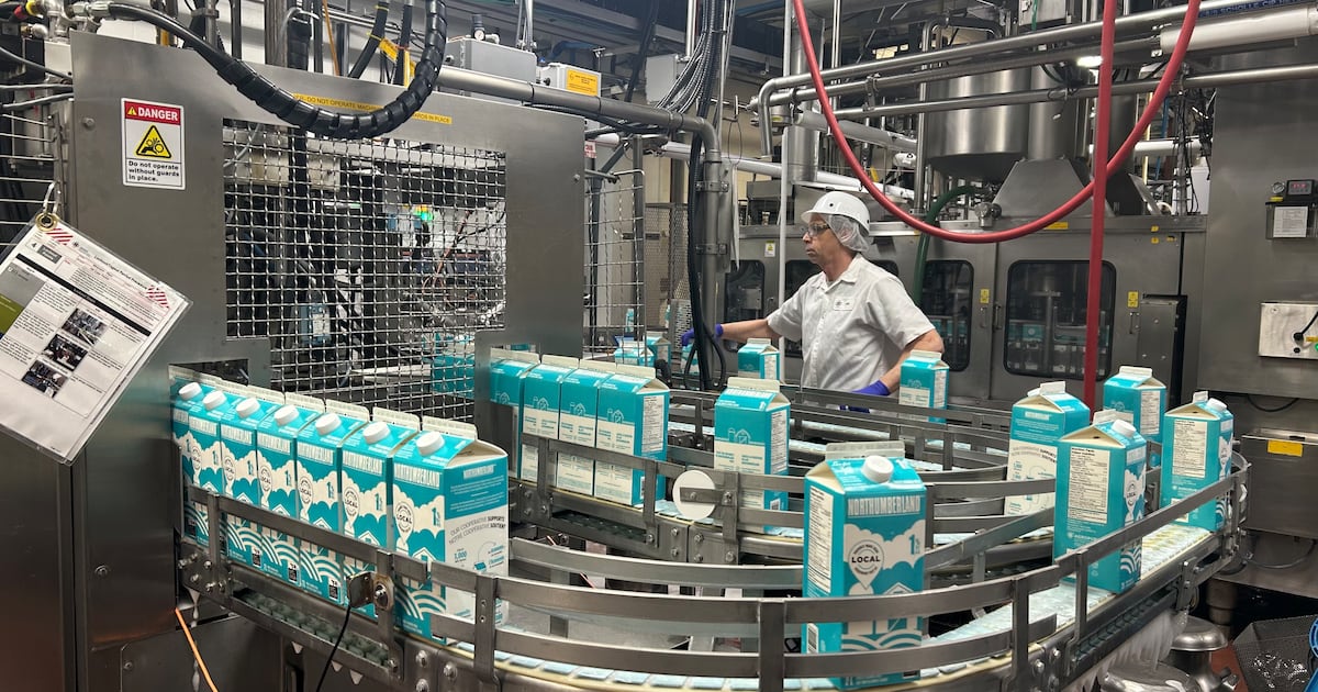 Upgrades to Miramichi, N.B., Agropur will make plant ‘centre of excellence' for fluid milk