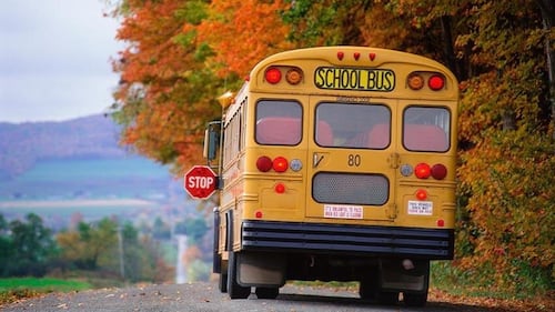 Stop for school buses with red lights flashing, OPP remind drivers