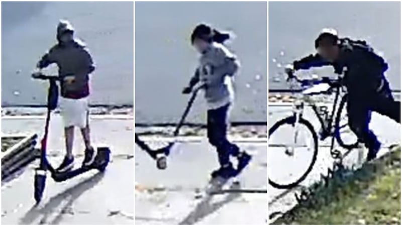 More than $300K in damage reported in Whitehorn property vandalism: police